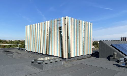 Streatham & Clapham High School 07